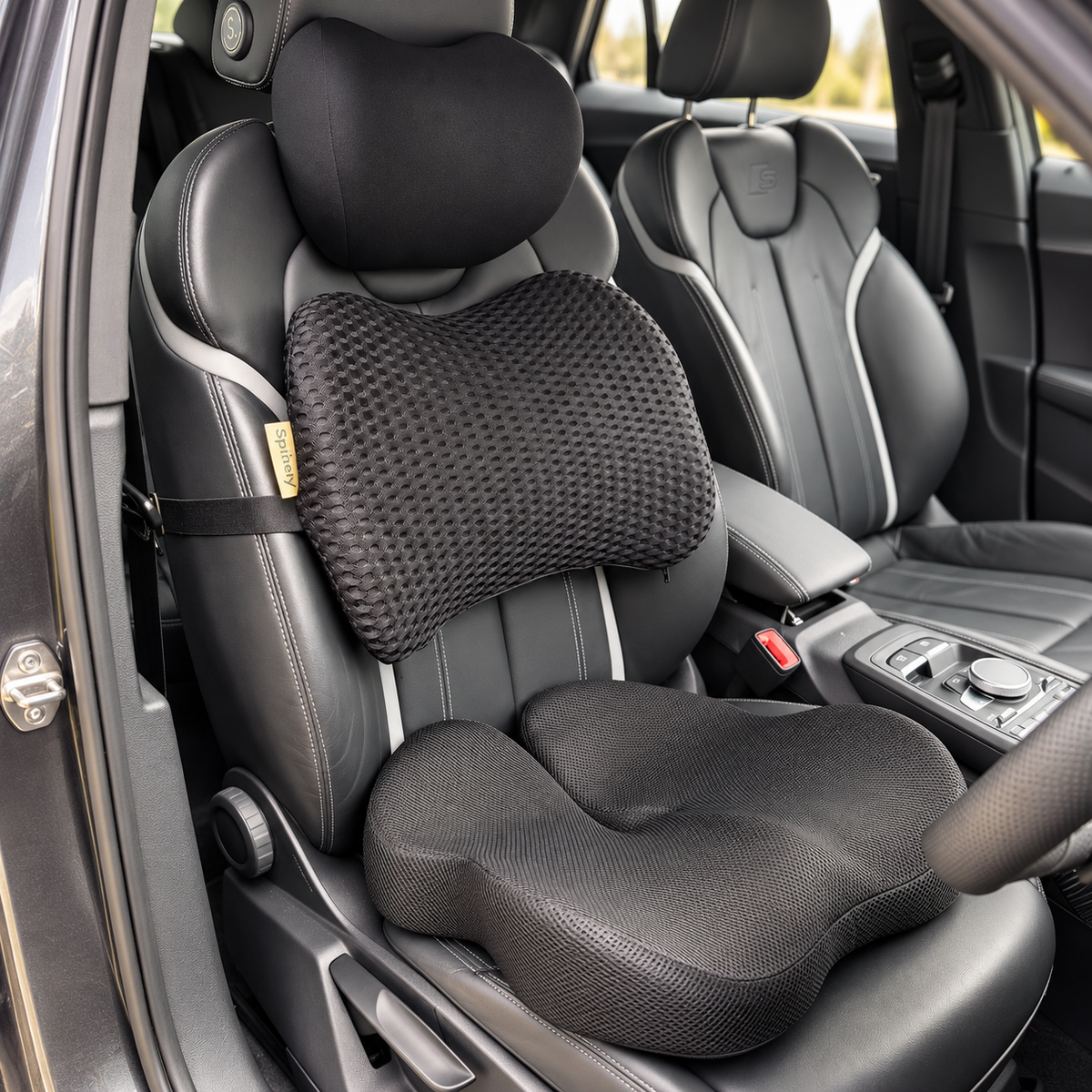 Spinely Driver Bundle with seat, back and neck support